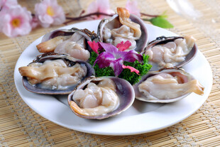 生鲜贝类海鲜食材