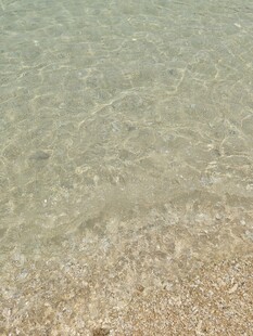 果冻海