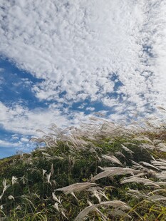 山野晴空自然风光