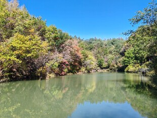 秋季山水风景