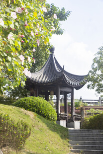 中式园林古亭风光