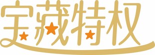 宝特权艺术字标识