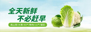 新鲜蔬菜宣传海报