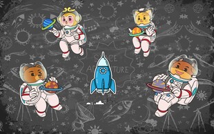 萌趣太空小熊宇航员