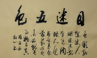 目迷五色 杨克东书法作品