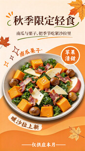 秋季限定轻食海报
