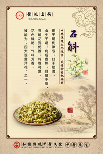 铁皮石斛