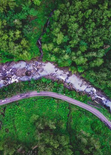 航拍林间蜿蜒小路