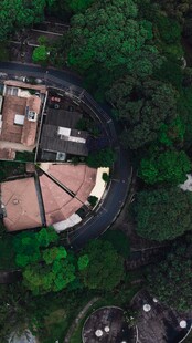 林间民居航拍俯视图