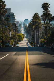 棕榈树城市公路街景