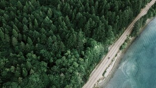 沿岸林间公路航拍