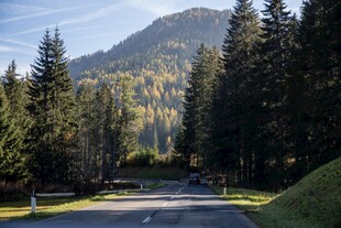 山林公路自然风景