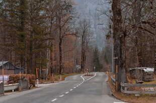 郊野林间公路风光