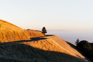 黄昏山野坡地风光