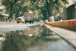 雨后积水林荫街道