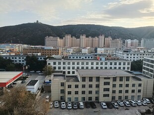 城郊城镇建筑群远景