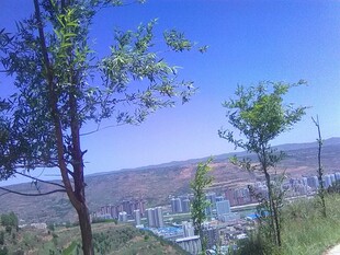 郊野远眺城市风光