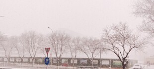 雾天朦胧道路景观