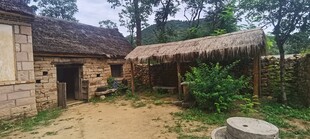 乡村传统农家小院