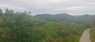 郊野阴天山林远景