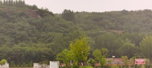 朦胧郊野山林风光