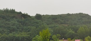 郊野山林朦胧远景