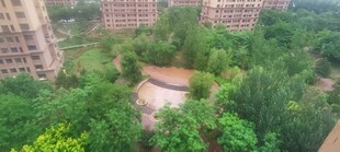 俯瞰小区绿化景观