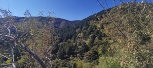山地河谷晴日风光