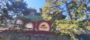 绿树掩映的窑洞民居