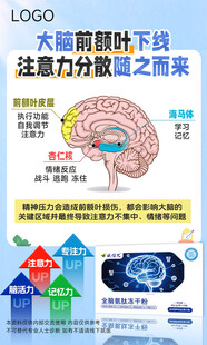 大脑前额叶健康科普