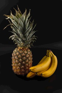菠萝与香蕉静物