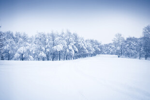 冬日雪后旷野雪景