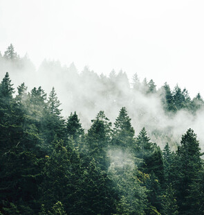 雾绕山林自然风景