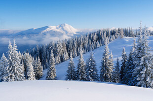 冬日雪山林海雪景