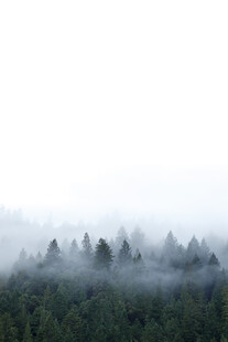 雾绕山林留白风景