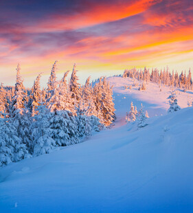 冬日雪林晚霞美景
