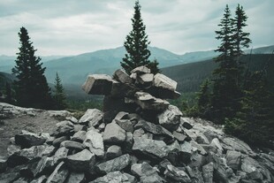 山间石堆松林景观