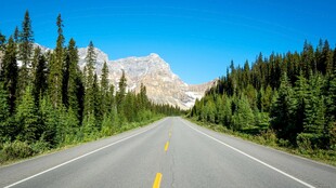 郊野山林公路风光
