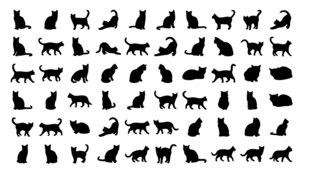 猫咪剪影合集