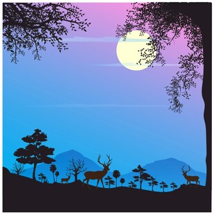 林间月夜剪影