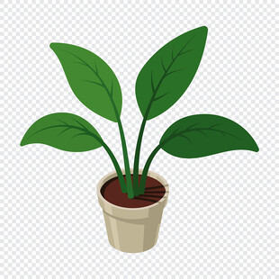 手绘清新绿植盆栽