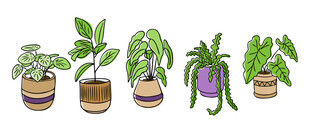 绿植盆栽创意艺术字