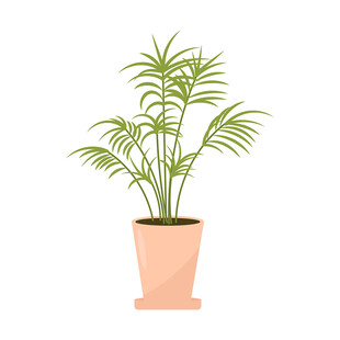 清新室内盆栽绿植插画