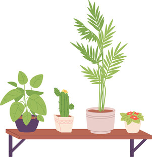 多款室内盆栽绿植插画