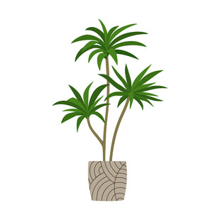 室内绿植盆栽插画