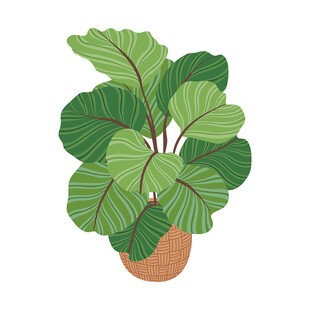 手绘绿植盆栽插画