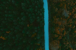 林间蓝水溪流风光