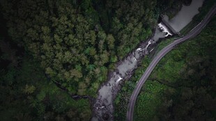 林间蜿蜒盘山公路