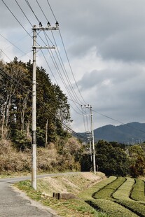 郊野路边电线杆风光