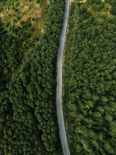 航拍林间笔直公路